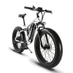 Biciclette elettriche Cyrusher Extrbici XF800