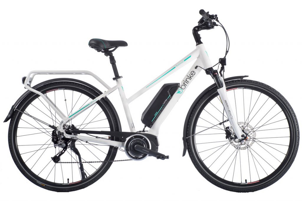 Bicicletta elettrica Brinke Rushmore 2